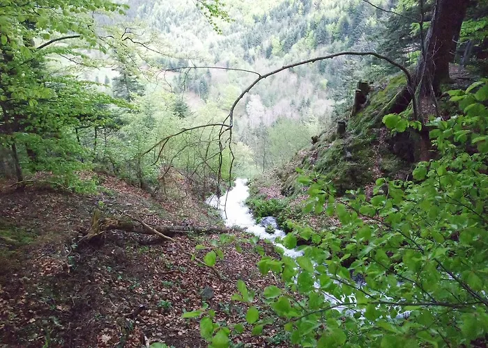 Chalet Hertzland